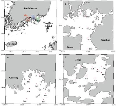 Comparison of annual biosynthetic calorie productions by phytoplankton in different southern Korean bays